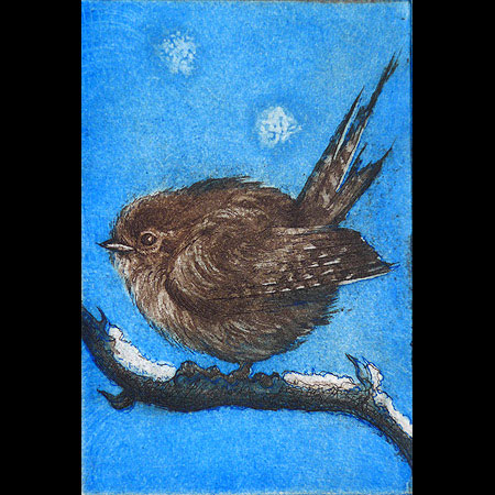 wren