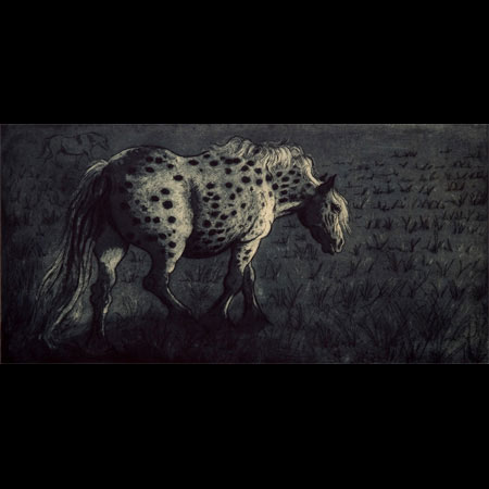 Appaloosa Horse, Port Meadow, British Spotted Pony, Equine Artist, Equine Illustrator